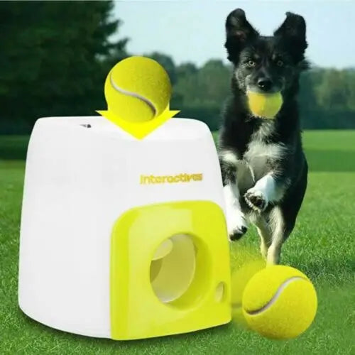 Pet Automatic Throw Machine Chewing Ball Toys