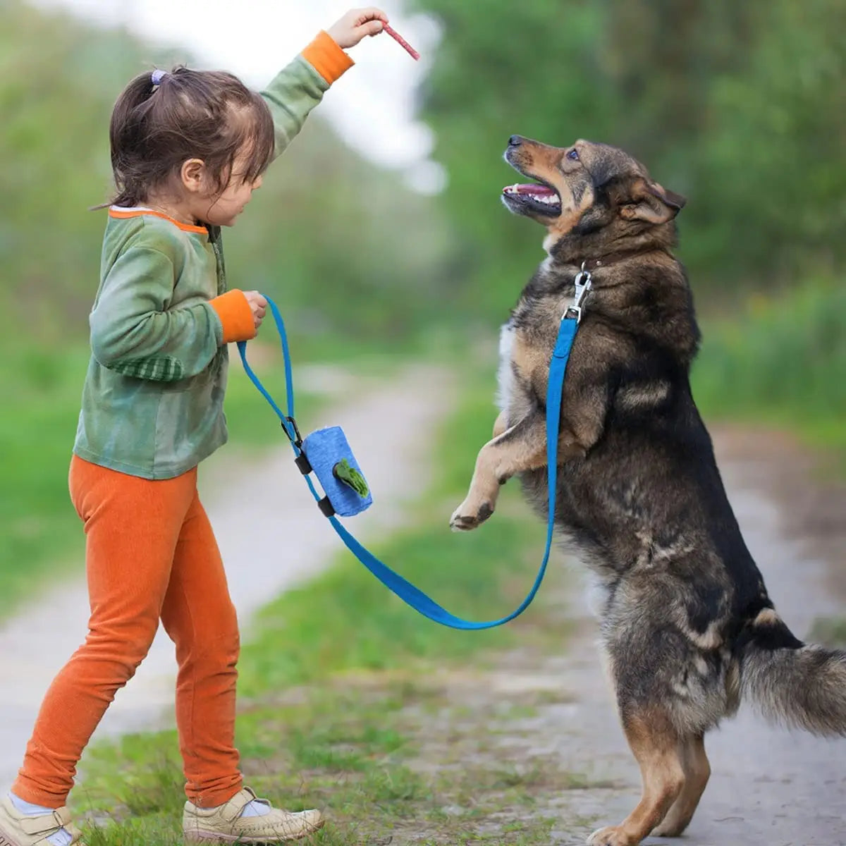 Pet Poop Bag Dispenser Storage Bag