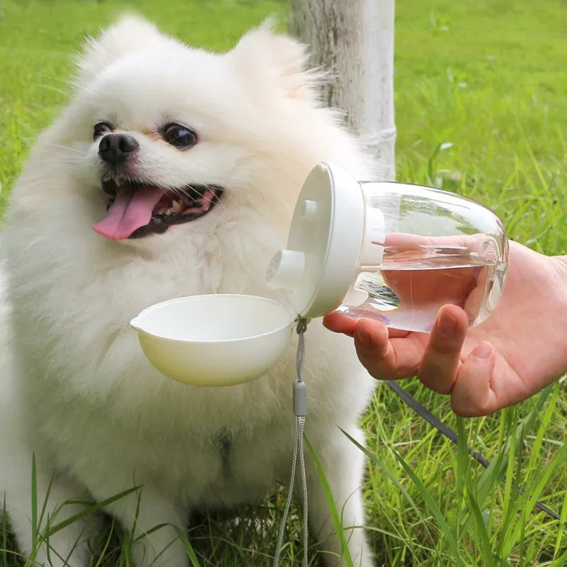 Pets Drinking Bowls