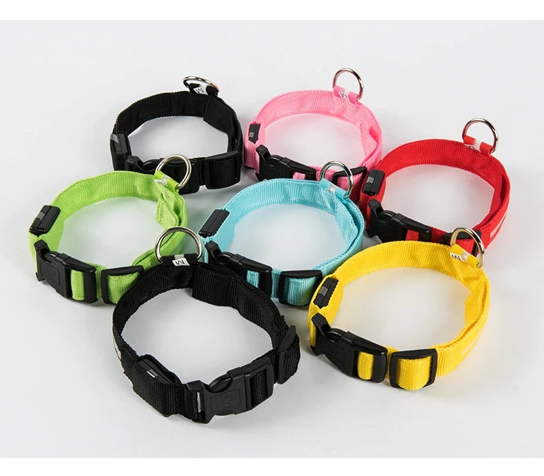 Flashing Glow Dog Collar