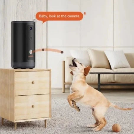 WiFi  300° Pet Camera with Treat Dispense