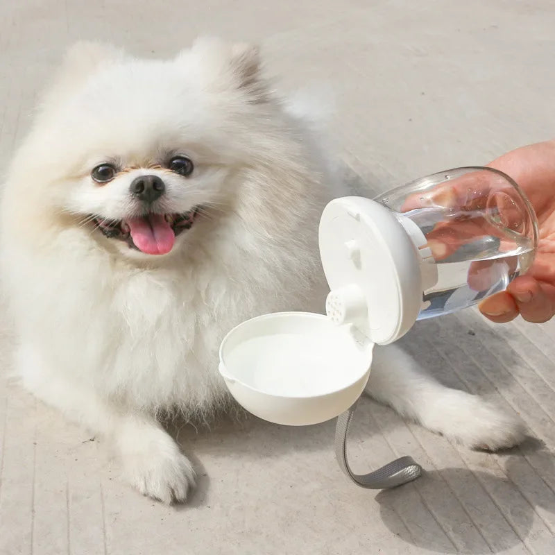 Pets Drinking Bowls