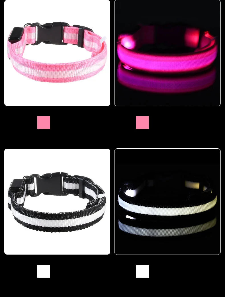 Flashing Glow Dog Collar