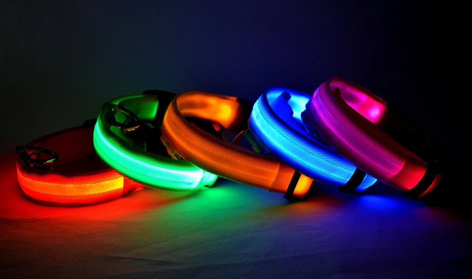 Flashing Glow Dog Collar