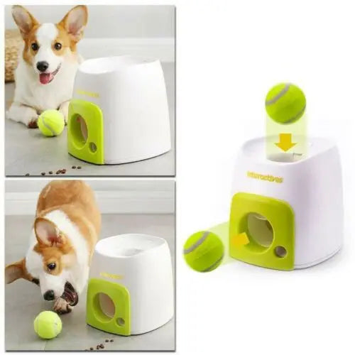 Pet Automatic Throw Machine Chewing Ball Toys