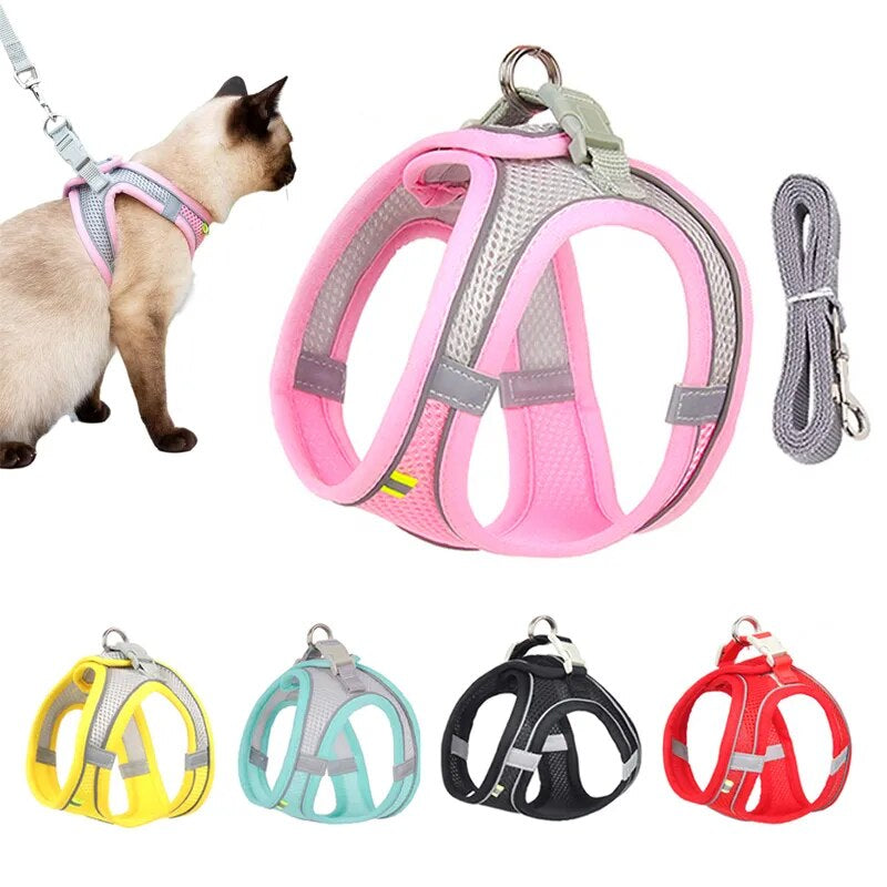 Adjustable Mesh Cat Harness and Leash Set for Small Dogs & Cats