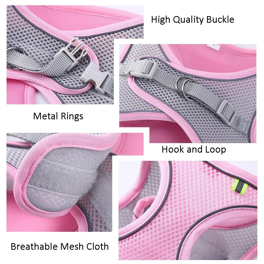 Adjustable Mesh Cat Harness and Leash Set for Small Dogs & Cats