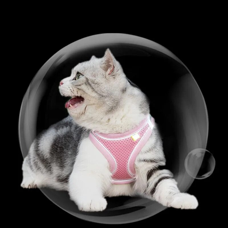 Adjustable Mesh Cat Harness and Leash Set for Small Dogs & Cats