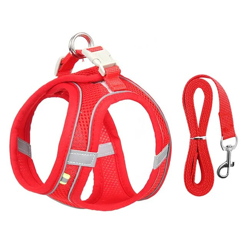 Adjustable Mesh Cat Harness and Leash Set for Small Dogs & Cats