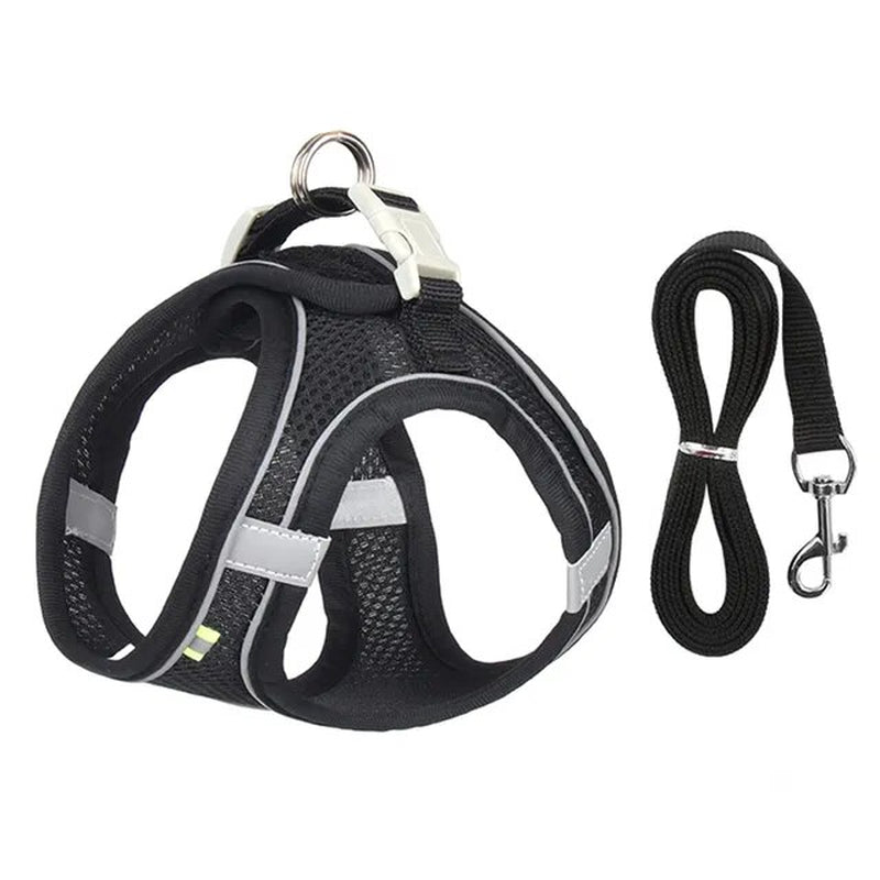 Adjustable Mesh Cat Harness and Leash Set for Small Dogs & Cats