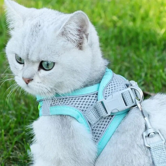 Adjustable Mesh Cat Harness and Leash Set for Small Dogs & Cats